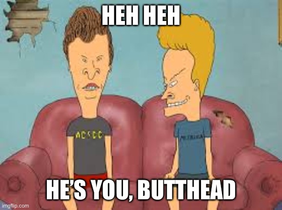 Bevis n Butthead | HEH HEH HE’S YOU, BUTTHEAD | image tagged in bevis n butthead | made w/ Imgflip meme maker