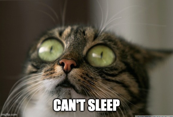 Trauma cat | CAN'T SLEEP | image tagged in trauma cat | made w/ Imgflip meme maker