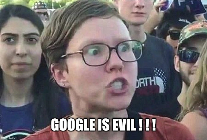 Triggered Liberal | GOOGLE IS EVIL ! ! ! | image tagged in triggered liberal | made w/ Imgflip meme maker
