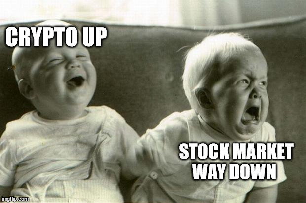HappySadBabies | CRYPTO UP; STOCK MARKET WAY DOWN | image tagged in happysadbabies,crypto_betsAU | made w/ Imgflip meme maker