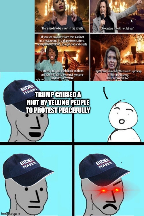 Blue hat npc | TRUMP CAUSED A RIOT BY TELLING PEOPLE TO PROTEST PEACEFULLY | image tagged in blue hat npc | made w/ Imgflip meme maker