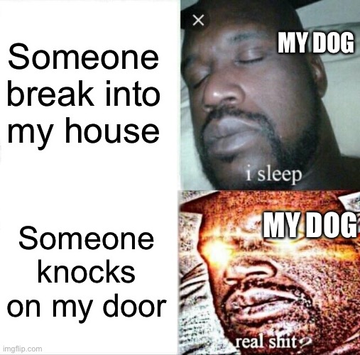 Sleeping Shaq | Someone break into my house; MY DOG; MY DOG; Someone knocks on my door | image tagged in memes,sleeping shaq | made w/ Imgflip meme maker