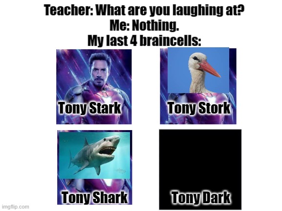 Iron Man | Tony Stark                  Tony Stork; Tony Shark                 Tony Dark | image tagged in memes,marvel,avengers,iron man,tony stark | made w/ Imgflip meme maker