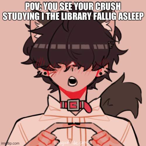 ages 15-17 please oh an hes pan but has a preference to males | POV: YOU SEE YOUR CRUSH STUDYING I THE LIBRARY FALLIG ASLEEP | image tagged in bean oc skyler | made w/ Imgflip meme maker