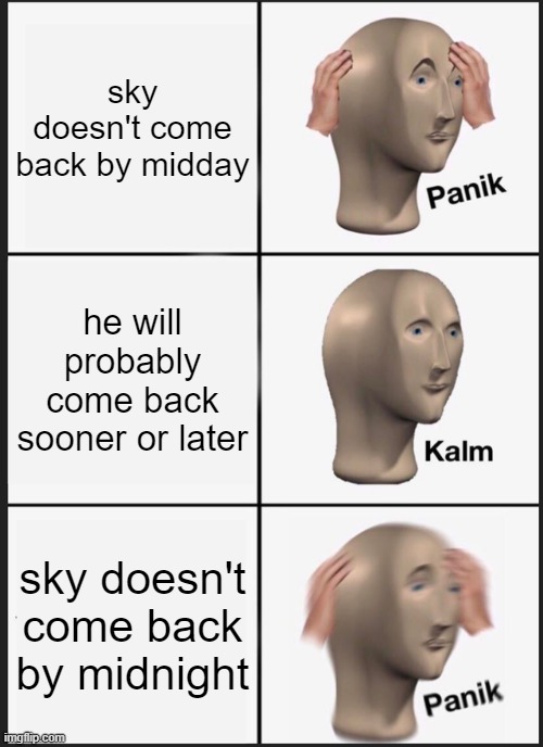 Panik Kalm Panik Meme | sky doesn't come back by midday; he will probably come back sooner or later; sky doesn't come back by midnight | image tagged in memes,panik kalm panik,wings of fire,wof | made w/ Imgflip meme maker