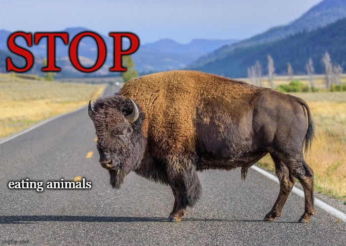 Stop Eating Animals |  STOP; eating animals | image tagged in vegan,animals,climate change,meat,vegetarian | made w/ Imgflip meme maker