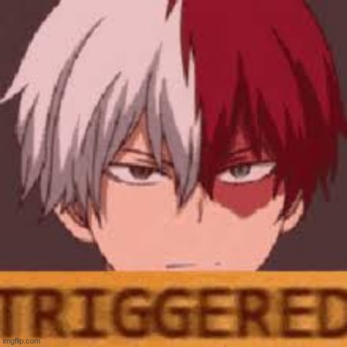 triggered todoroki | image tagged in triggered todoroki | made w/ Imgflip meme maker