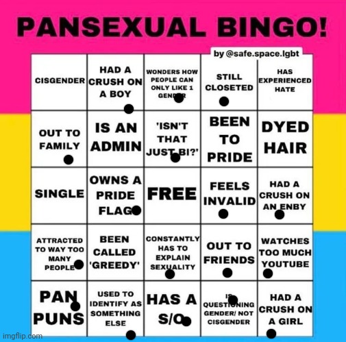 Jesus Christ that's a lot | image tagged in pansexual bingo | made w/ Imgflip meme maker