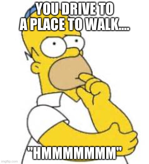 Im not wrong |  YOU DRIVE TO A PLACE TO WALK.... "HMMMMMMM" | image tagged in homer simpson hmmmm,walking,hmmm yes | made w/ Imgflip meme maker