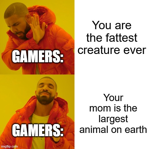 Drake Hotline Bling | You are the fattest creature ever; GAMERS:; Your mom is the largest animal on earth; GAMERS: | image tagged in memes,drake hotline bling,gamers,gaming,fat,yo mom | made w/ Imgflip meme maker