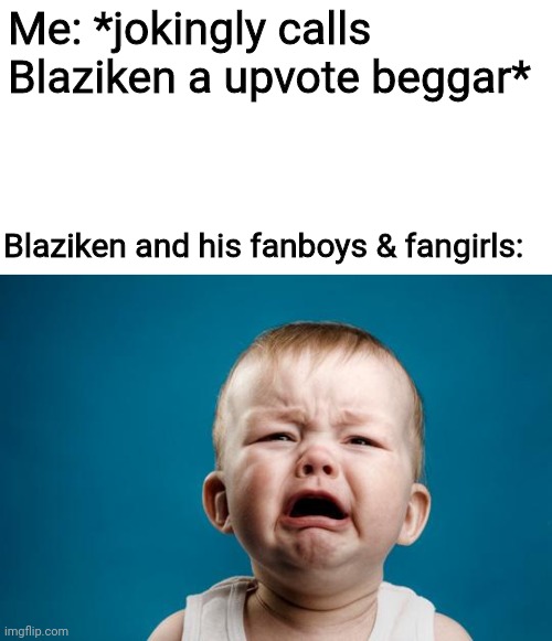 Bunch of snowflakes❄ | Me: *jokingly calls Blaziken a upvote beggar*; Blaziken and his fanboys & fangirls: | image tagged in baby crying | made w/ Imgflip meme maker