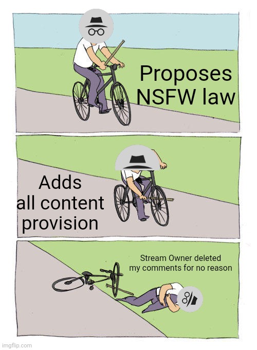 Bike Fall Meme | Proposes NSFW law Adds all content provision Stream Owner deleted my comments for no reason | image tagged in memes,bike fall | made w/ Imgflip meme maker