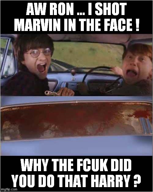 An Alternative Potter ! | AW RON ... I SHOT MARVIN IN THE FACE ! WHY THE FCUK DID YOU DO THAT HARRY ? | image tagged in harry potter,pulp fiction,dark humour | made w/ Imgflip meme maker