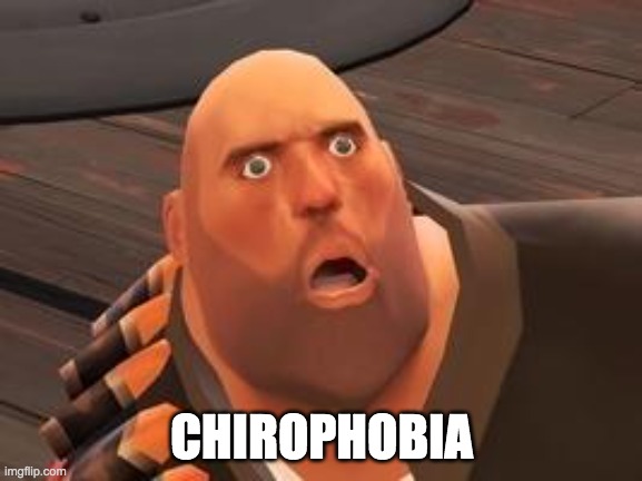 TF2 Heavy | CHIROPHOBIA | image tagged in tf2 heavy | made w/ Imgflip meme maker