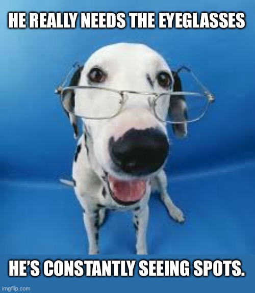 Here spot… | HE REALLY NEEDS THE EYEGLASSES; HE’S CONSTANTLY SEEING SPOTS. | image tagged in bad pun | made w/ Imgflip meme maker