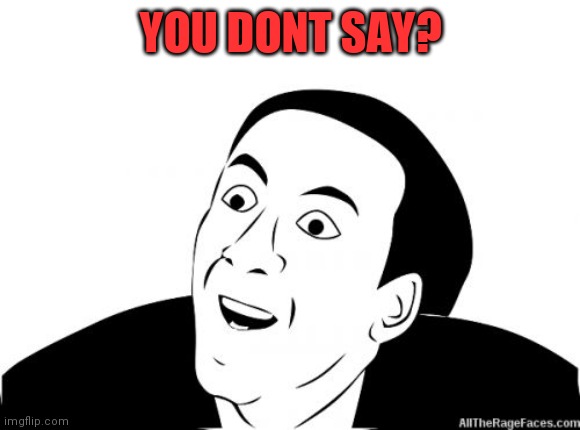 You Dont Say | YOU DONT SAY? | image tagged in you dont say | made w/ Imgflip meme maker