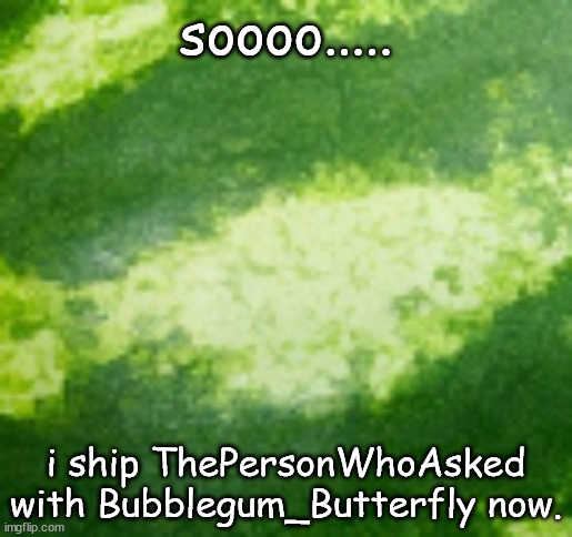 MELON BACKROUND | soooo..... i ship ThePersonWhoAsked with Bubblegum_Butterfly now. | image tagged in melon backround | made w/ Imgflip meme maker
