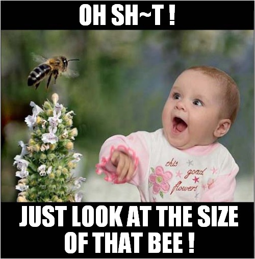 A Question Of Perspective ! | OH SH~T ! JUST LOOK AT THE SIZE
OF THAT BEE ! | image tagged in perspective,baby,bee | made w/ Imgflip meme maker