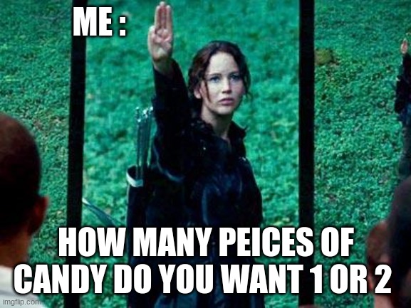 hunger games | ME :; HOW MANY PEICES OF CANDY DO YOU WANT 1 OR 2 | image tagged in hunger games 2 | made w/ Imgflip meme maker