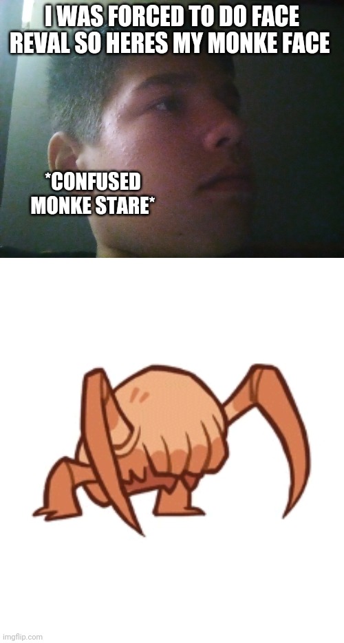 dncjwujuddud nednudnufcnefinc | I WAS FORCED TO DO FACE REVAL SO HERES MY MONKE FACE; *CONFUSED MONKE STARE* | image tagged in monke | made w/ Imgflip meme maker