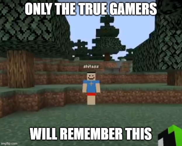 do someone still remember this guy? |  ONLY THE TRUE GAMERS; WILL REMEMBER THIS | image tagged in shitass,dream,minecraft memes | made w/ Imgflip meme maker