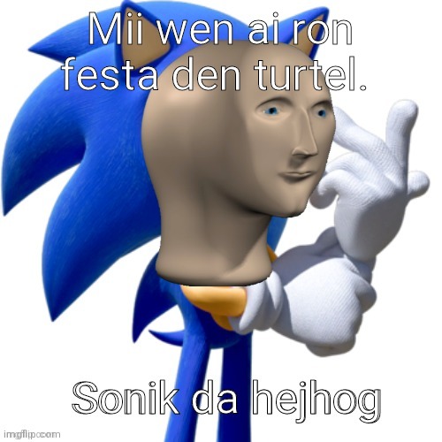 Sonik da hejhog | Mii wen ai ron festa den turtel. Sonik da hejhog | image tagged in sonik da hejhog | made w/ Imgflip meme maker