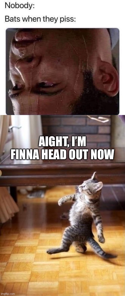 AIGHT, I’M FINNA HEAD OUT NOW | image tagged in memes,cool cat stroll,aight ima head out,funny,funny memes,cats | made w/ Imgflip meme maker