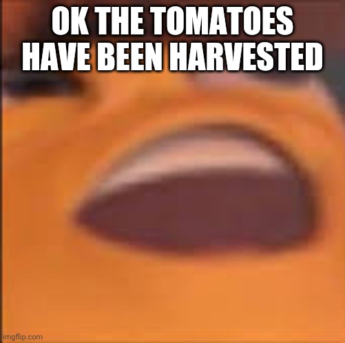 Barry Bee Benson | OK THE TOMATOES HAVE BEEN HARVESTED | image tagged in barry bee benson | made w/ Imgflip meme maker