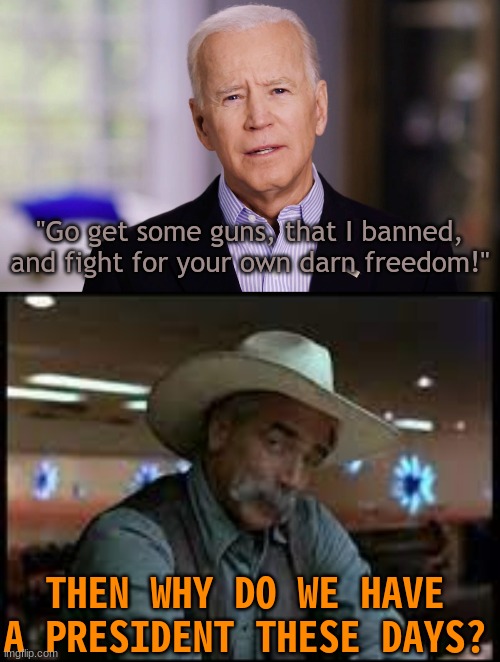 Your a special kind of stupid, aren't you? | "Go get some guns, that I banned, and fight for your own darn freedom!"; THEN WHY DO WE HAVE A PRESIDENT THESE DAYS? | image tagged in joe biden 2020 | made w/ Imgflip meme maker
