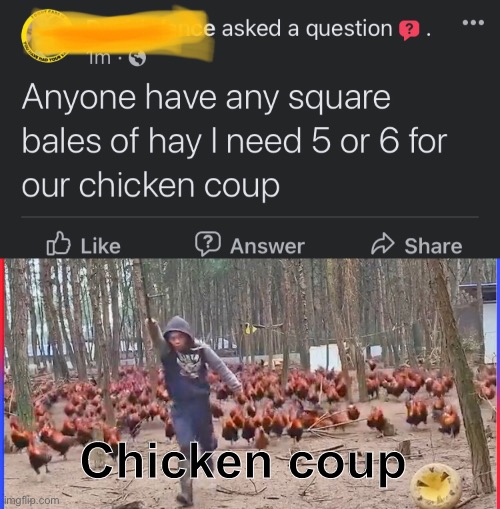 Chicken Coup | Chicken coup | image tagged in chickens | made w/ Imgflip meme maker