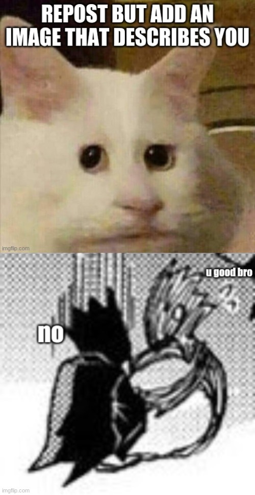 image tagged in tokoyami is not good bro | made w/ Imgflip meme maker