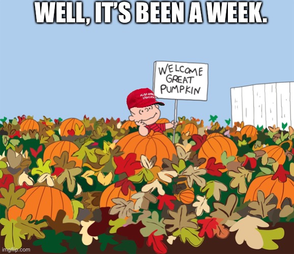 When is he coming back? | WELL, IT’S BEEN A WEEK. | image tagged in trump,reinstatement | made w/ Imgflip meme maker