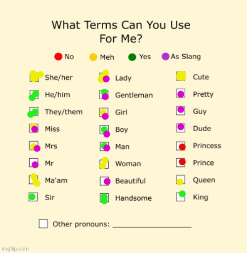 ye. i am biologically a female, but prefer the nb/male pronouns. | image tagged in pronouns sheet | made w/ Imgflip meme maker