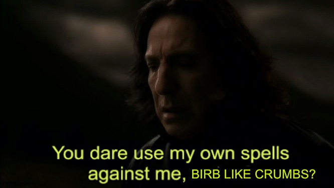 You dare Use my own spells against me | BIRB LIKE CRUMBS? | image tagged in you dare use my own spells against me | made w/ Imgflip meme maker