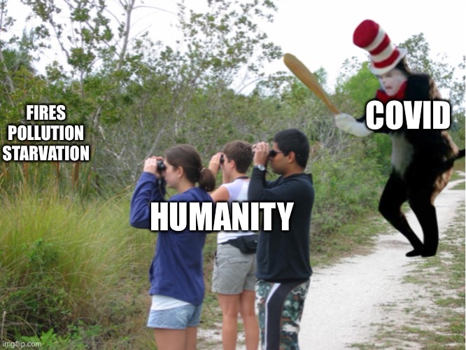 2020 | COVID; FIRES
POLLUTION
STARVATION; HUMANITY | image tagged in covid,cat with the bat | made w/ Imgflip meme maker