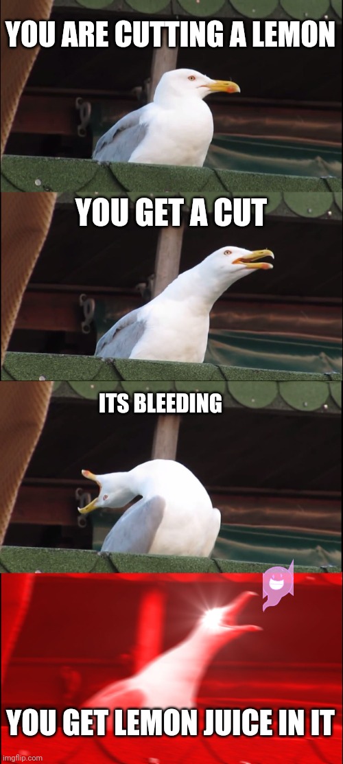 Lemon juice in cut | YOU ARE CUTTING A LEMON; YOU GET A CUT; ITS BLEEDING; YOU GET LEMON JUICE IN IT | image tagged in memes,inhaling seagull | made w/ Imgflip meme maker