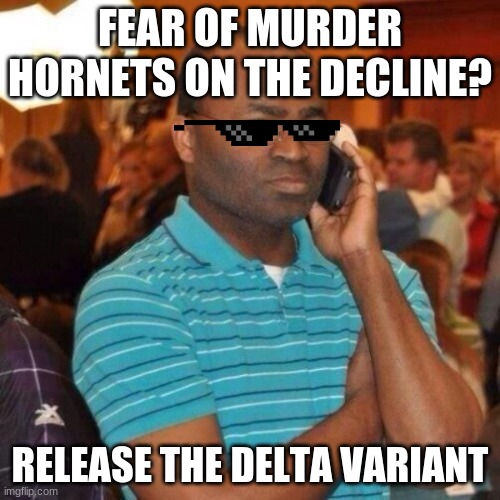 Calling the police | FEAR OF MURDER HORNETS ON THE DECLINE? RELEASE THE DELTA VARIANT | image tagged in calling the police | made w/ Imgflip meme maker