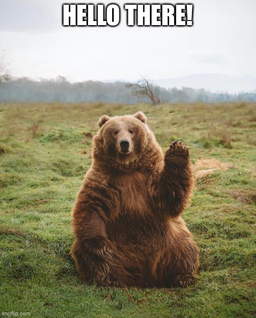 Bear Waving | HELLO THERE! | image tagged in bear waving | made w/ Imgflip meme maker