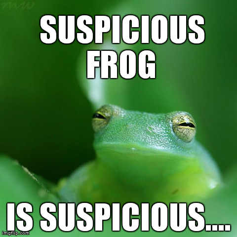 image tagged in suspicious frog,frog,animals | made w/ Imgflip meme maker