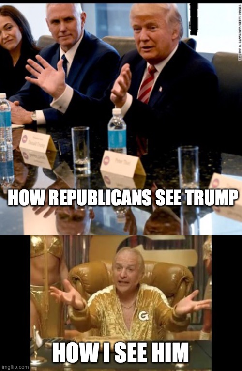 HOW REPUBLICANS SEE TRUMP; HOW I SEE HIM | image tagged in trump meeting,gold member | made w/ Imgflip meme maker