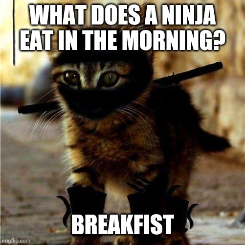 Ninja Cat | WHAT DOES A NINJA EAT IN THE MORNING? BREAKFIST | image tagged in ninja cat | made w/ Imgflip meme maker