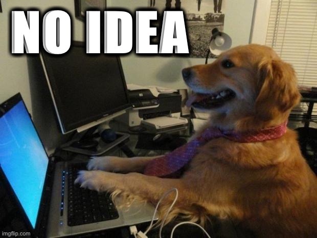 No idea dog with a computer | image tagged in no idea dog with a computer | made w/ Imgflip meme maker