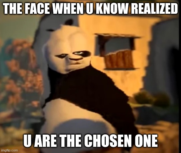 The chosen ine | THE FACE WHEN U KNOW REALIZED; U ARE THE CHOSEN ONE | image tagged in po wut | made w/ Imgflip meme maker