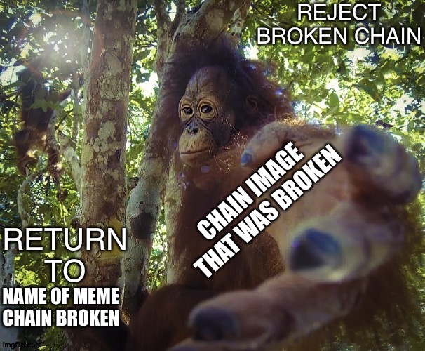 For those pesky chain breakers. | CHAIN IMAGE THAT WAS BROKEN; NAME OF MEME CHAIN BROKEN | image tagged in reject broken chain,my custom template,return to monke,why are you reading this | made w/ Imgflip meme maker