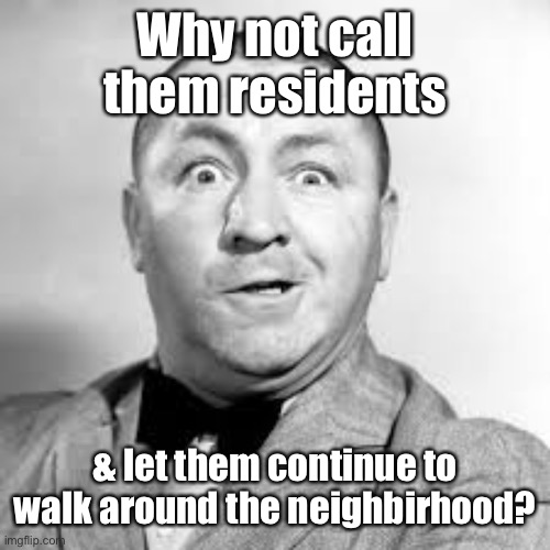 curly three stooges | Why not call them residents & let them continue to walk around the neighbirhood? | image tagged in curly three stooges | made w/ Imgflip meme maker