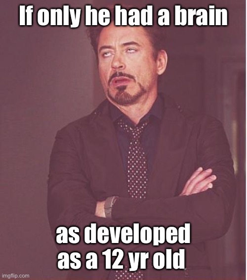 Face You Make Robert Downey Jr Meme | If only he had a brain as developed as a 12 yr old | image tagged in memes,face you make robert downey jr | made w/ Imgflip meme maker