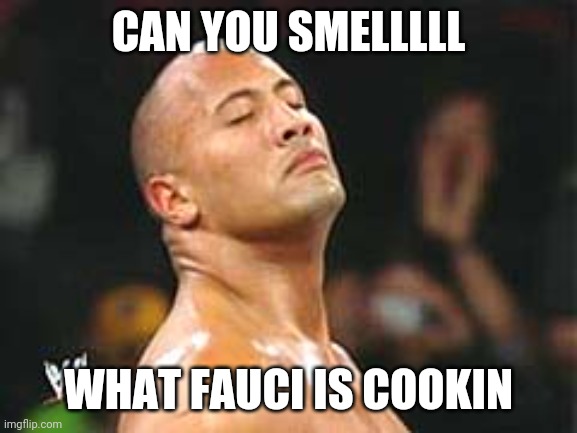 The Rock Smelling | CAN YOU SMELLLLL; WHAT FAUCI IS COOKIN | image tagged in the rock smelling | made w/ Imgflip meme maker