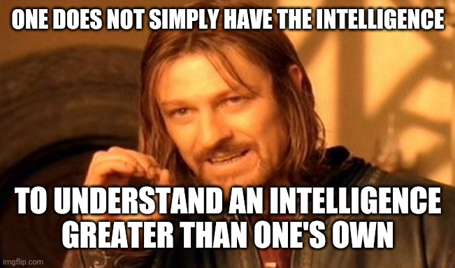 We're All Stupid, But Only Some Of Us Are Smart Enough To Realize It | ONE DOES NOT SIMPLY HAVE THE INTELLIGENCE; TO UNDERSTAND AN INTELLIGENCE GREATER THAN ONE'S OWN | image tagged in memes,one does not simply,intelligence,stupidity,human stupidity,smart | made w/ Imgflip meme maker