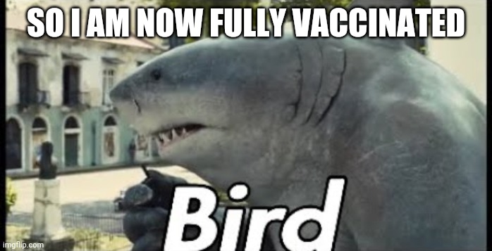 King shark bird | SO I AM NOW FULLY VACCINATED | image tagged in king shark bird | made w/ Imgflip meme maker