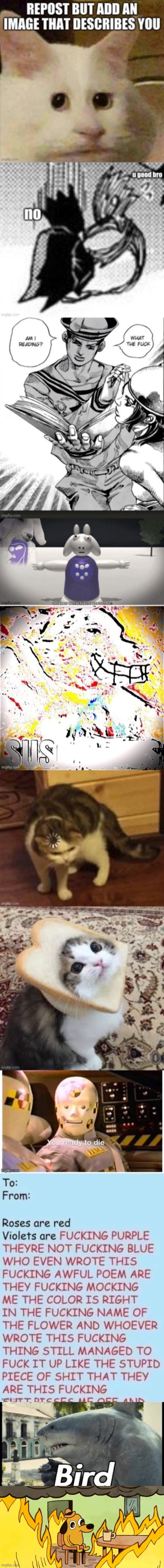 Ah yes | image tagged in dog on fire | made w/ Imgflip meme maker
